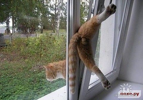 Не тот Лейбл!