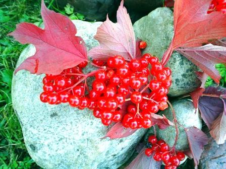 Осенние поблёкли небеса. Перевод с укр