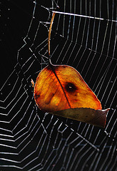 осiннiй блюз