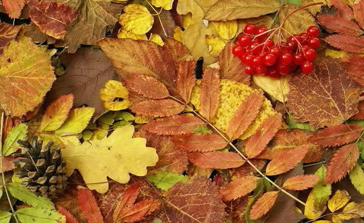 Время осени