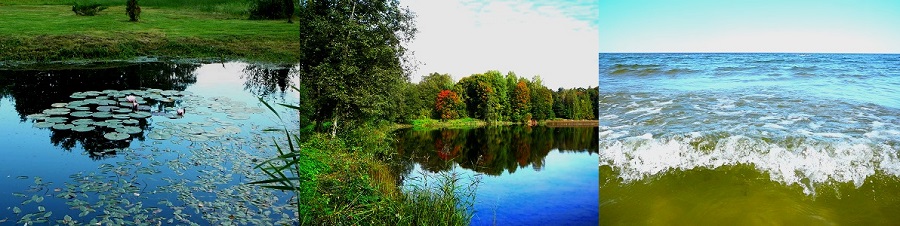 Разная вода