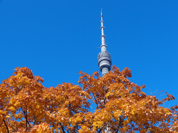 Вот ты, клён, как нарядился! фото авт