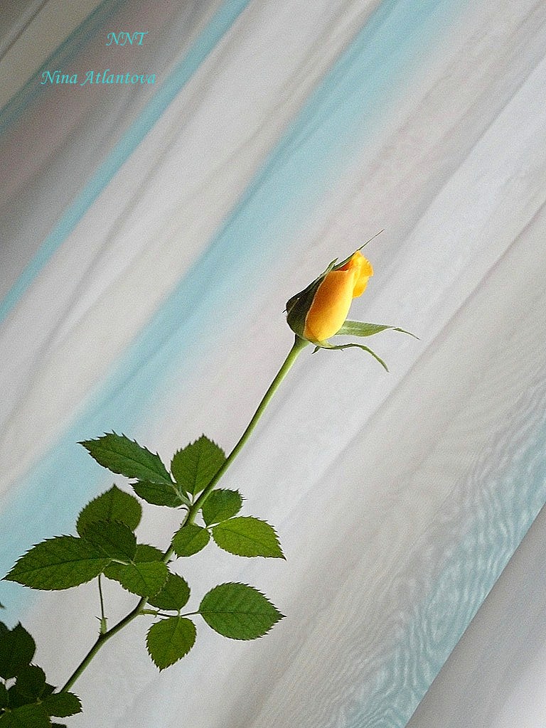 Себя же прости