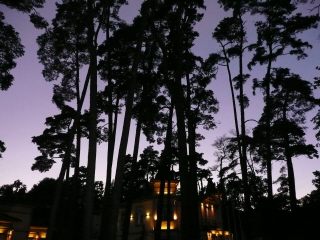 В старом замке Радзивиллов