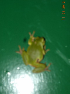 Мы тут в Эзотэрыку вдарылысь