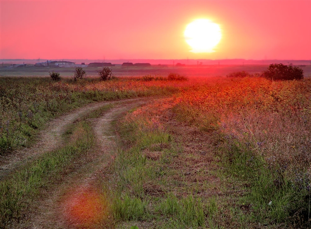 Не все гладко было, поле ржи смутило