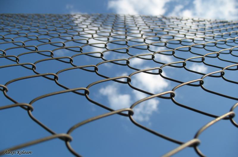 Иллюзия свободы