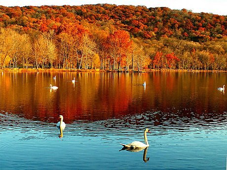Цвет осеннего мольберта