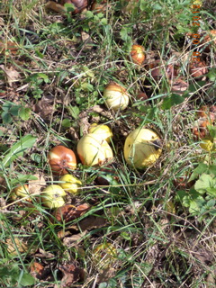 И вот чуй ФИО наша загЛавНа Зь!