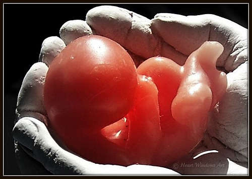 Нерождённые дети