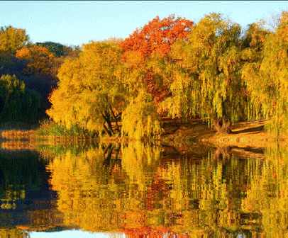 А осень всё же сложная пора