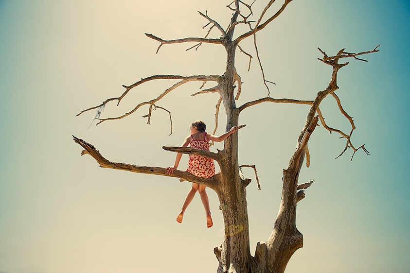 Птице Элен...