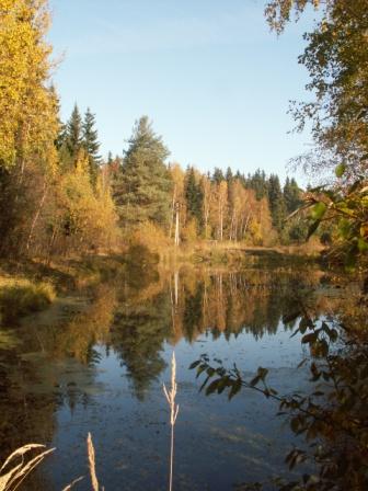 Опять осень...