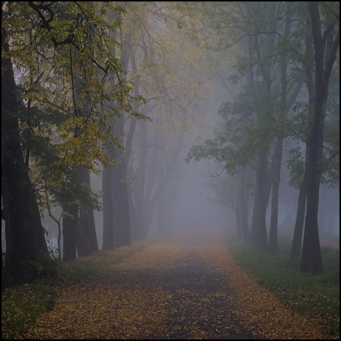 Я не люблю туманных переулков,