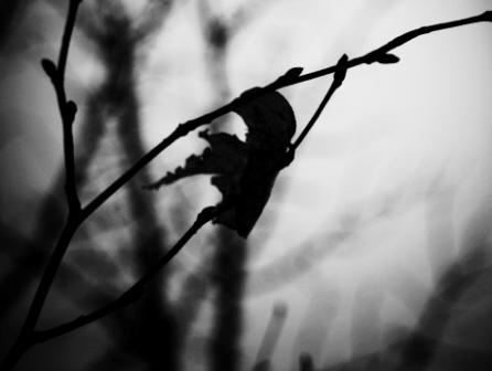 Я любил тебя...