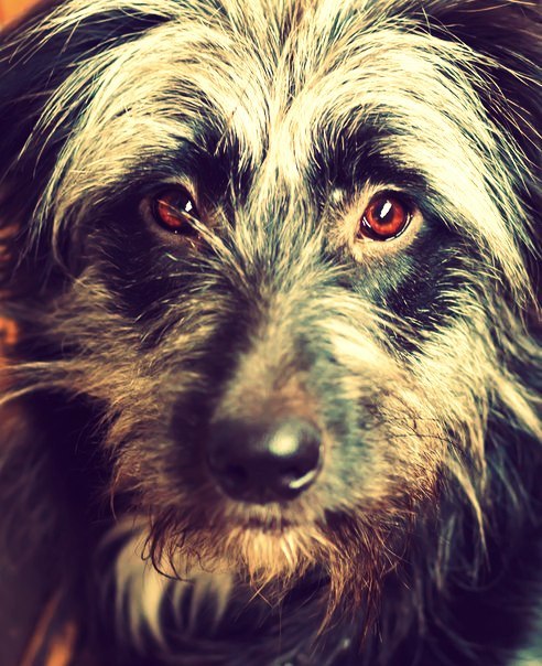 он играл на своем синтезаторе...