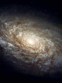 Ни христа, ни аллаха