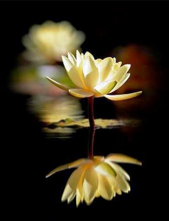 Слова не подвластные Времени...