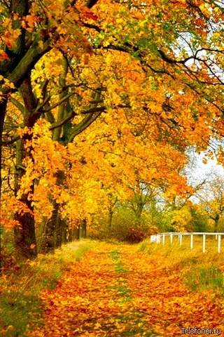 Я встречаю осень