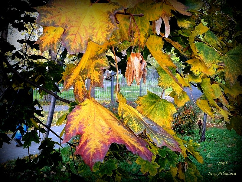 Станем неразлучны