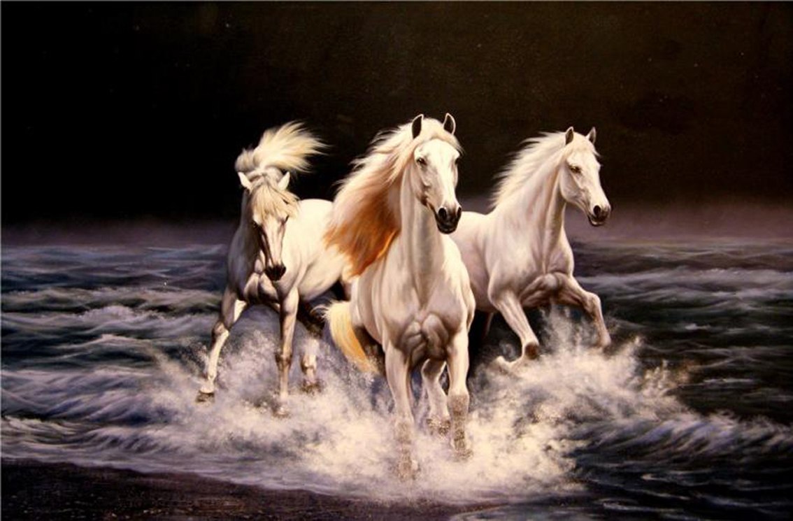 Три лошадки. Лошадь бежит. Лошадь бежит по воде. Три лошади бегут.