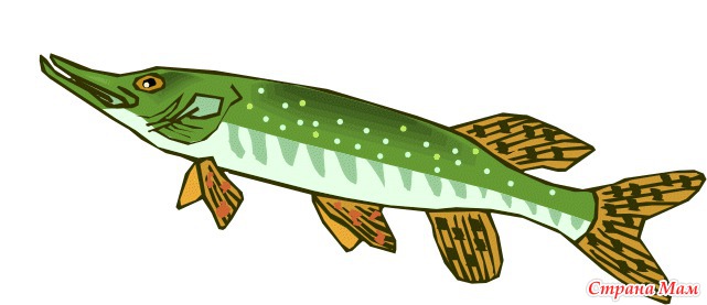 Щука рисунок для детей 1 класс