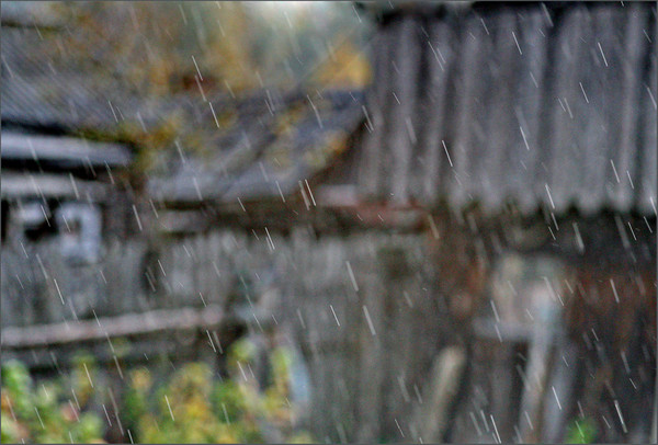 Осенний дождь...
