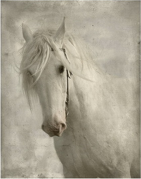 Молодожёнам