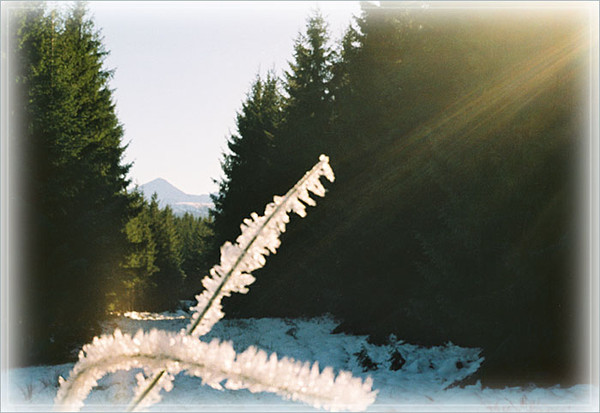 Осеннеее солнце