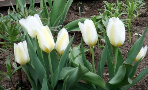 Почему? и за что?