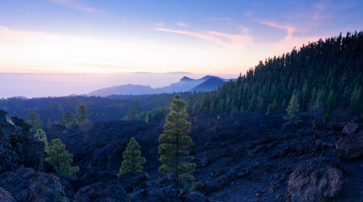 И я чувствую, верую вновь