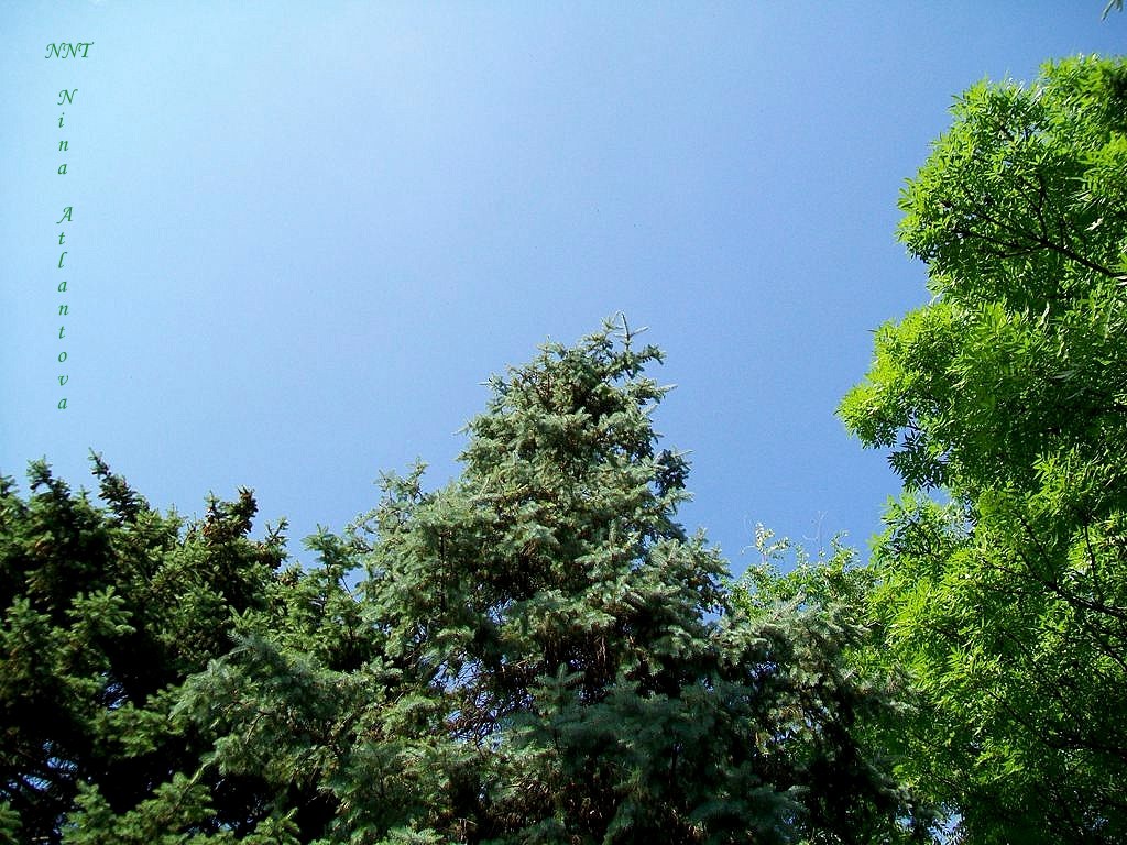 Я счастлив тем