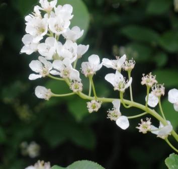 За воротами времени