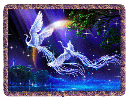 Синие птицы мечты