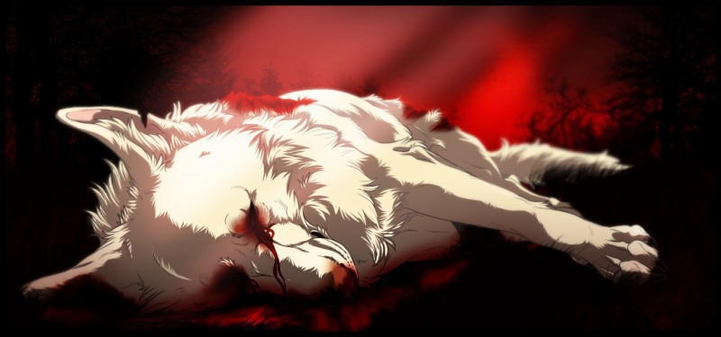 Никогда не закончится ночь