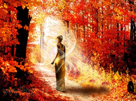 Осени середина