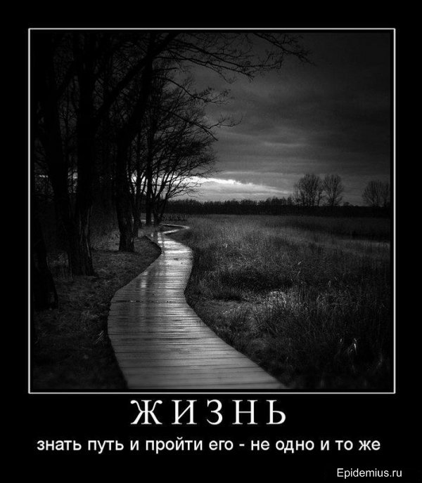 друг мой фото онлайн друг мой фото