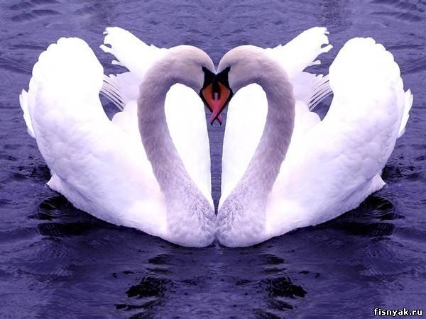 Мир мечтаний