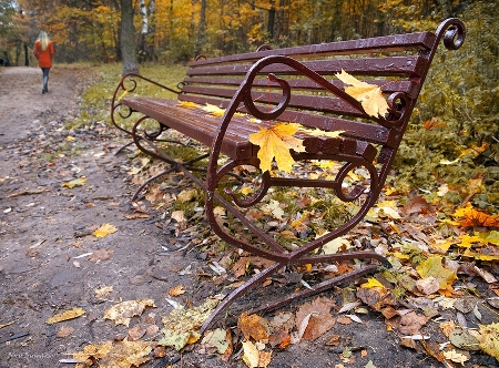 Репетиция любви