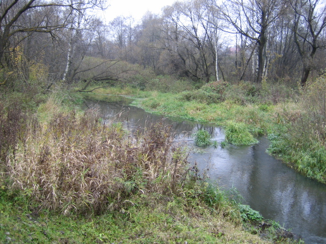 Из реки да Талицы зачерпну водицы