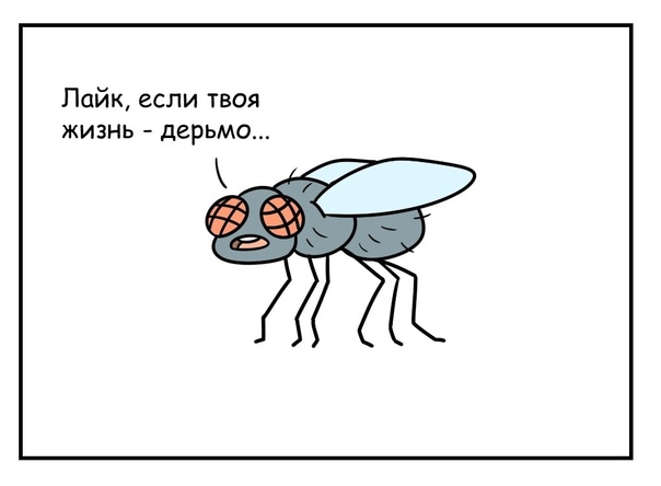 СОНМ