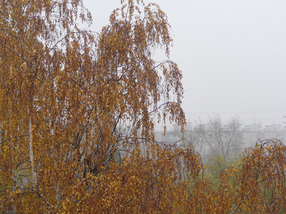 Туман украл Останкинскую башню! фото авт