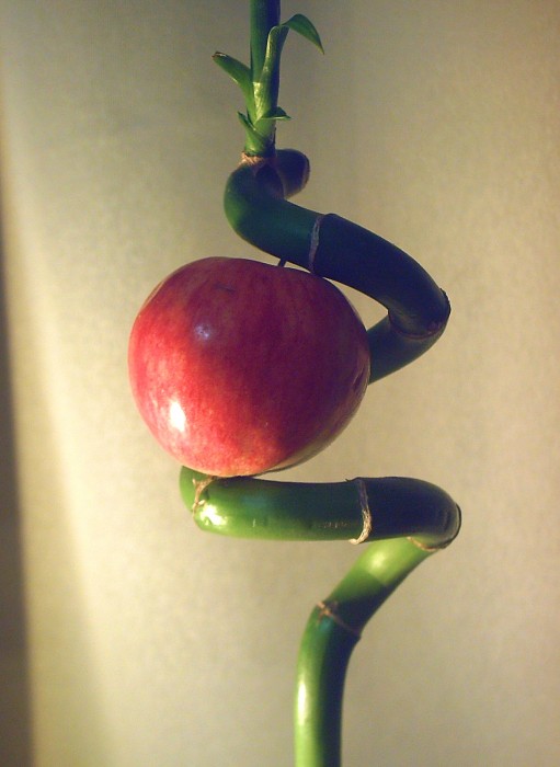 Змей искуситель