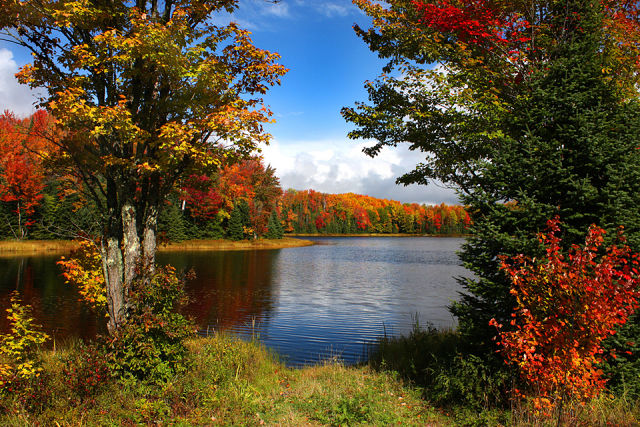 Запах сена, как его забыть