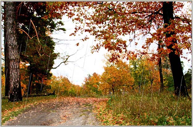 Осенняя распутица. акро