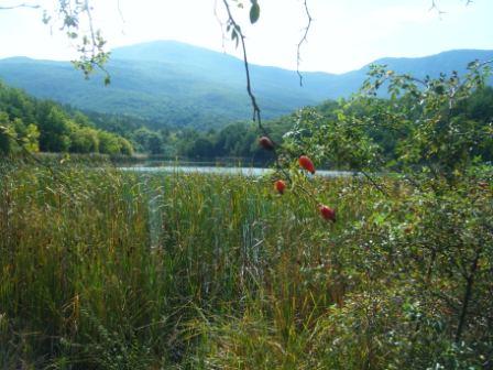 А горы мне покоя не дают