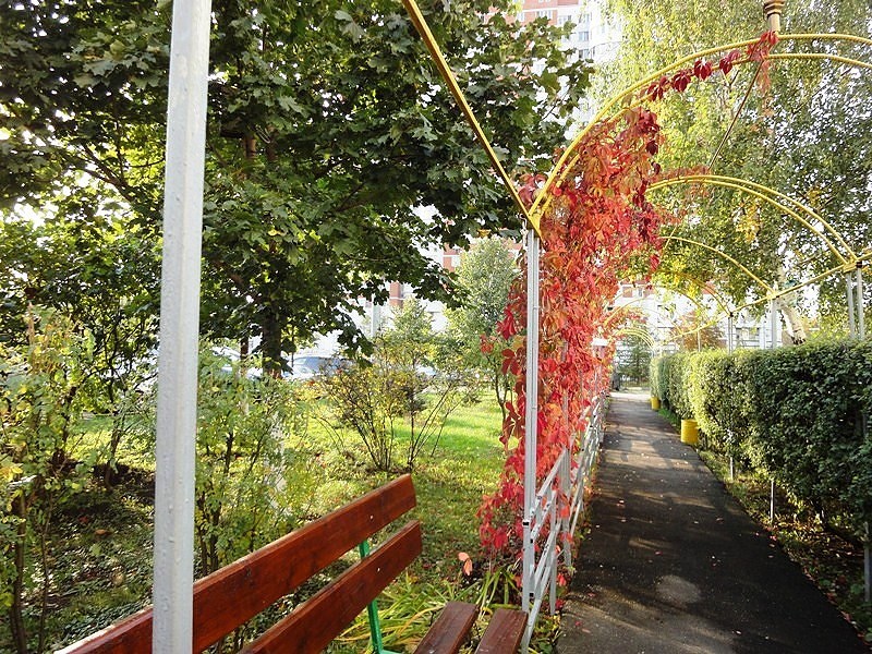 Небо мне поможет