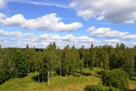 Скромному художнику