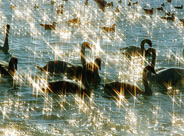 Когда глаза я закрываю...