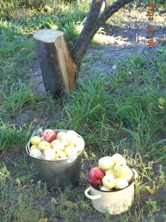 Мы зараз пра чай вамп